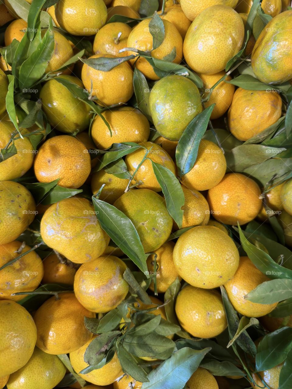 Looking down on a close up of light orange tangerines at the Sunday market on Madeira 