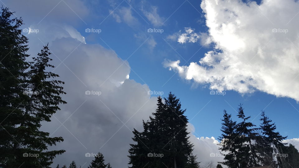 dark and light clouds in a winter sky