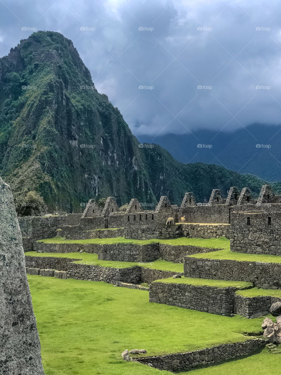 Machu Picchu 2018