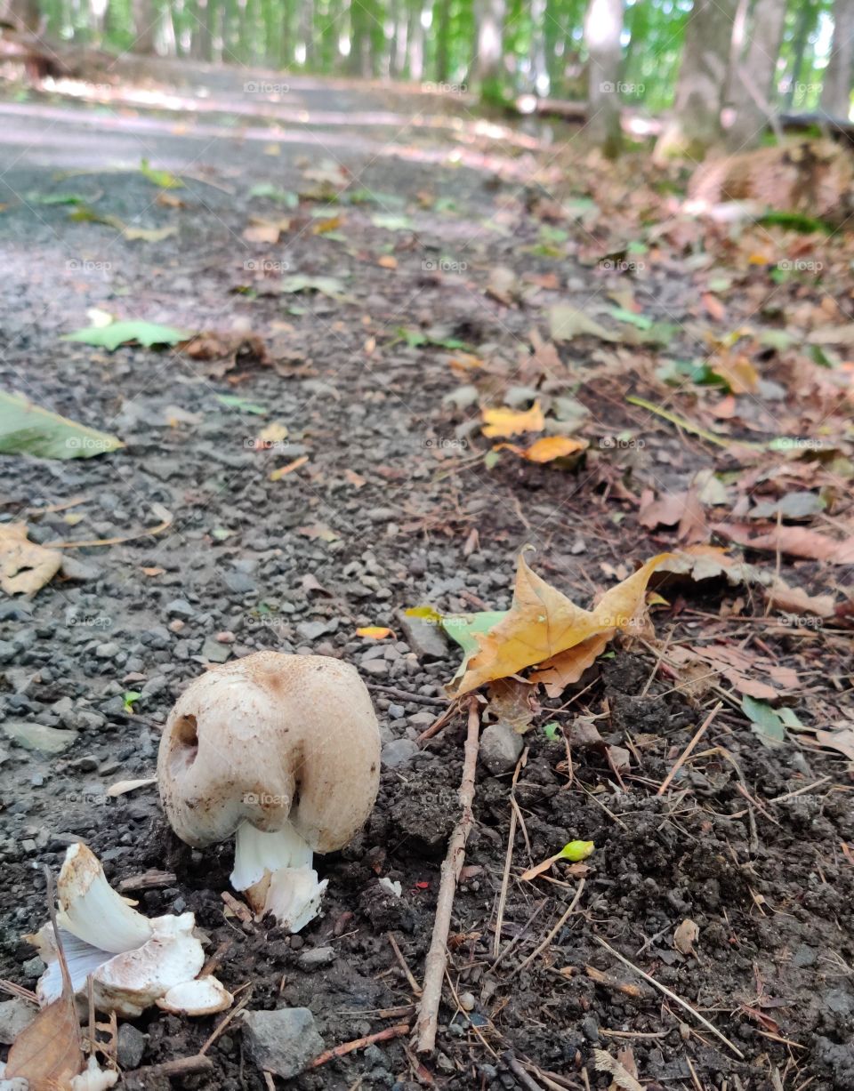 Another one on my way..