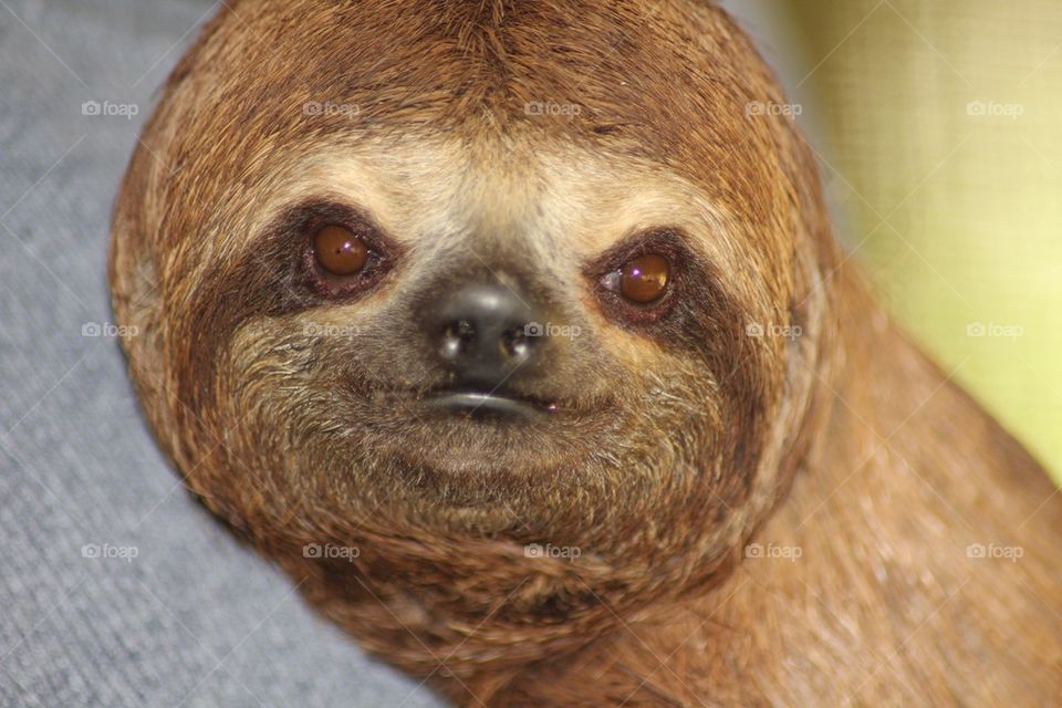 Up close and personal 