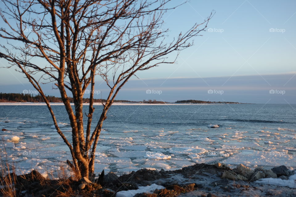 No Person, Water, Landscape, Tree, Nature