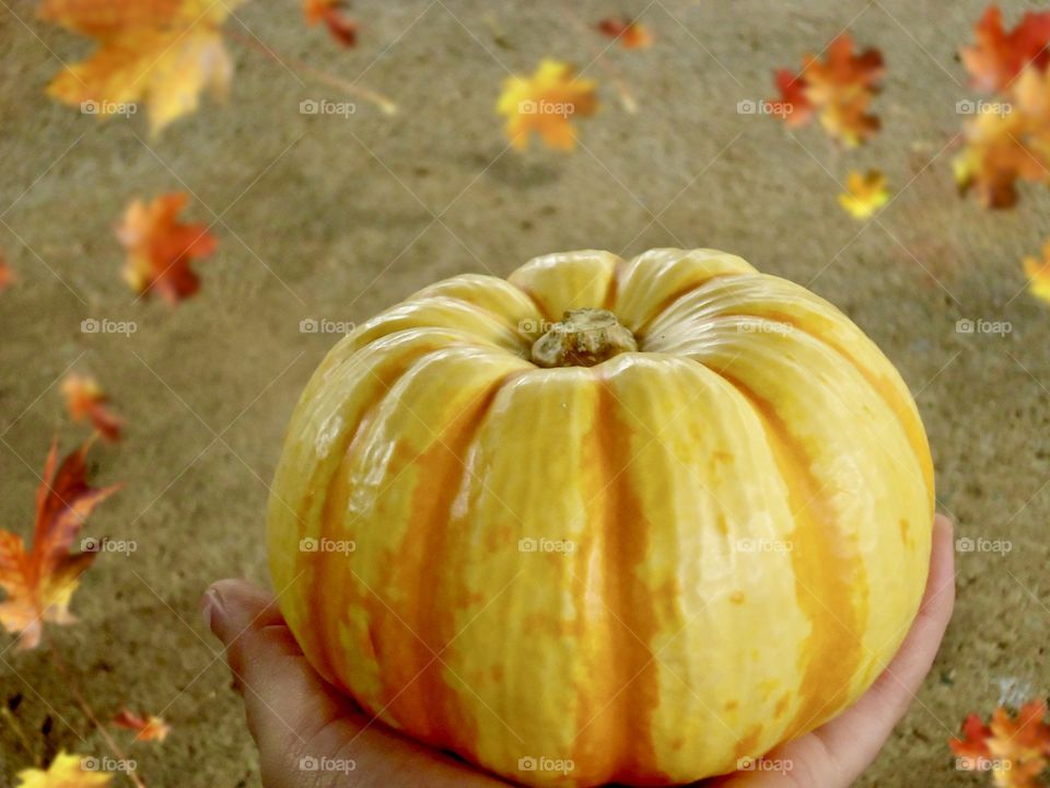 pumpkin in my hand