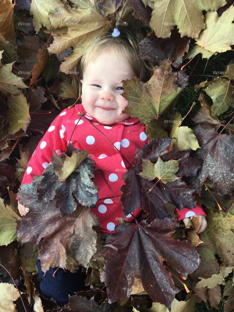 Baby in the leafs