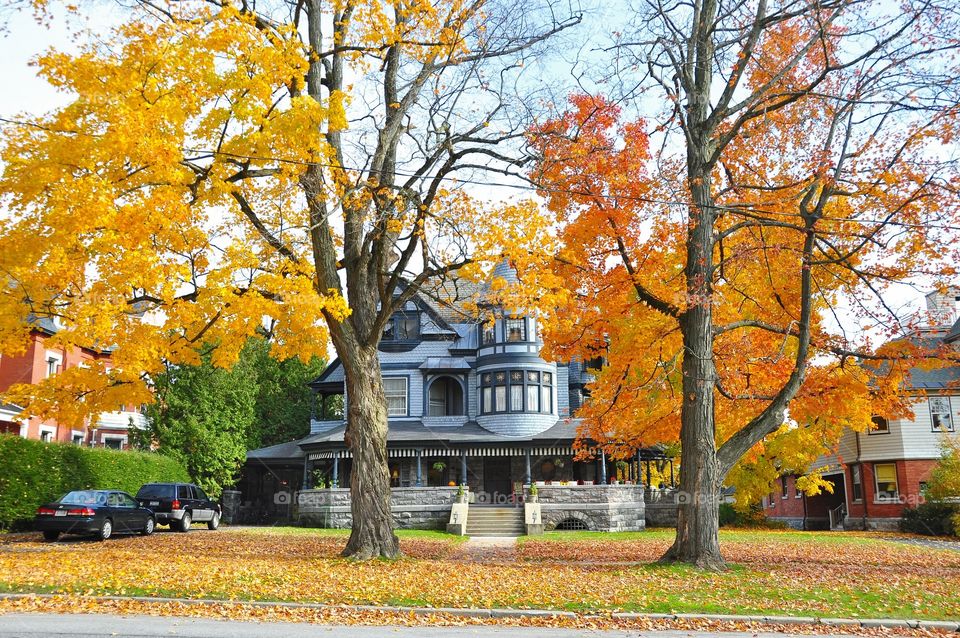 Saratoga Heritage Homes. North Broadway grandeur Neo Classic homes of Saratoga during the Fall foliage season. 
zazzle.com/Fleetphoto 