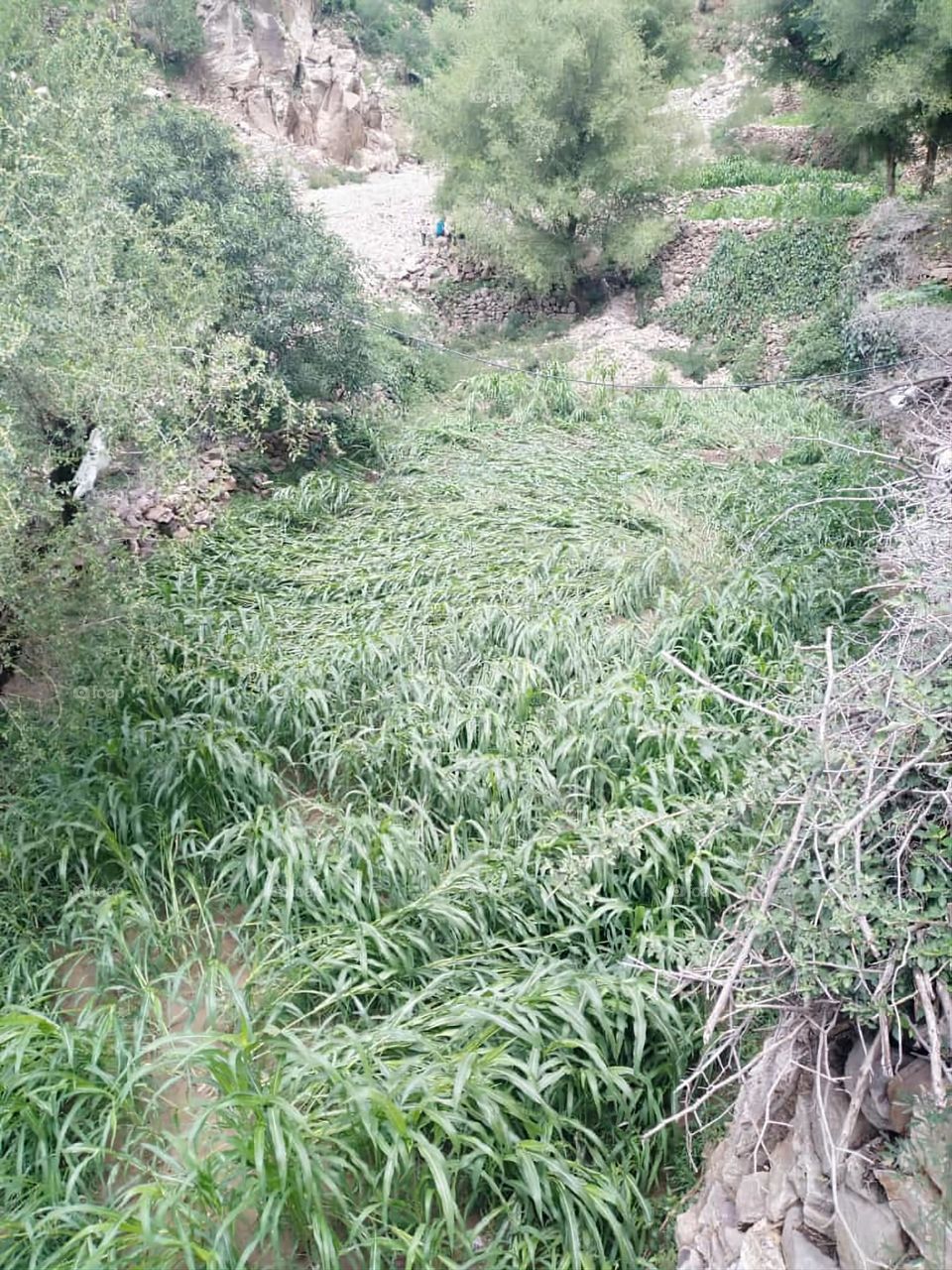 Glory be to God, the magnificent and picturesque view and the natural green trees are a view that is nothing more wonderful than it