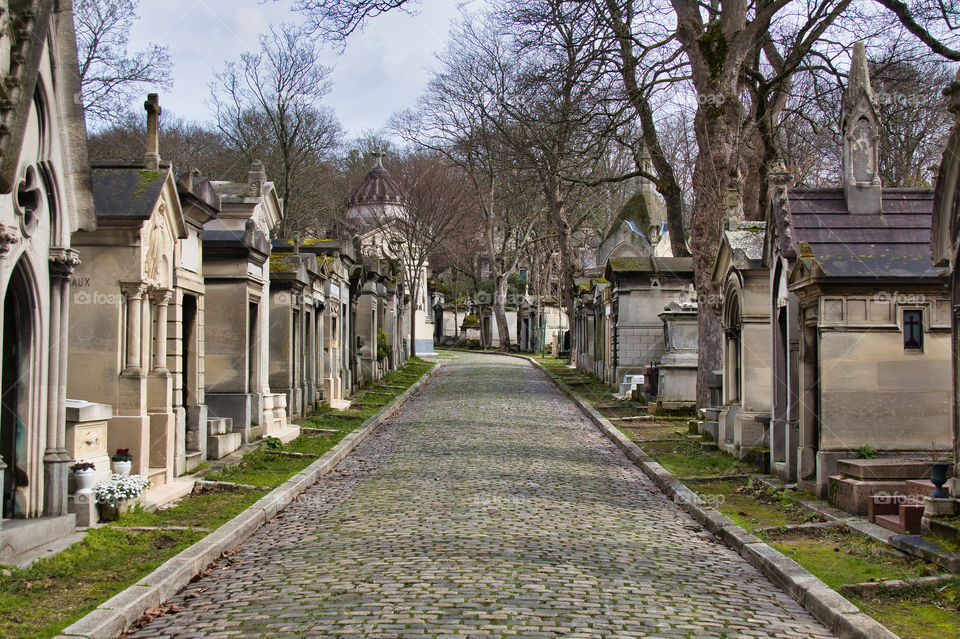 graveyard in the cemetery in paris