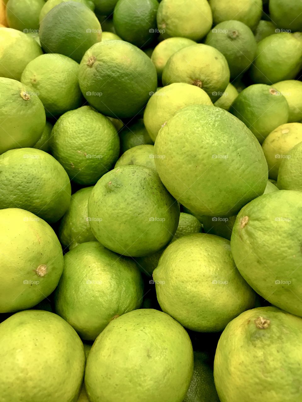 Limes