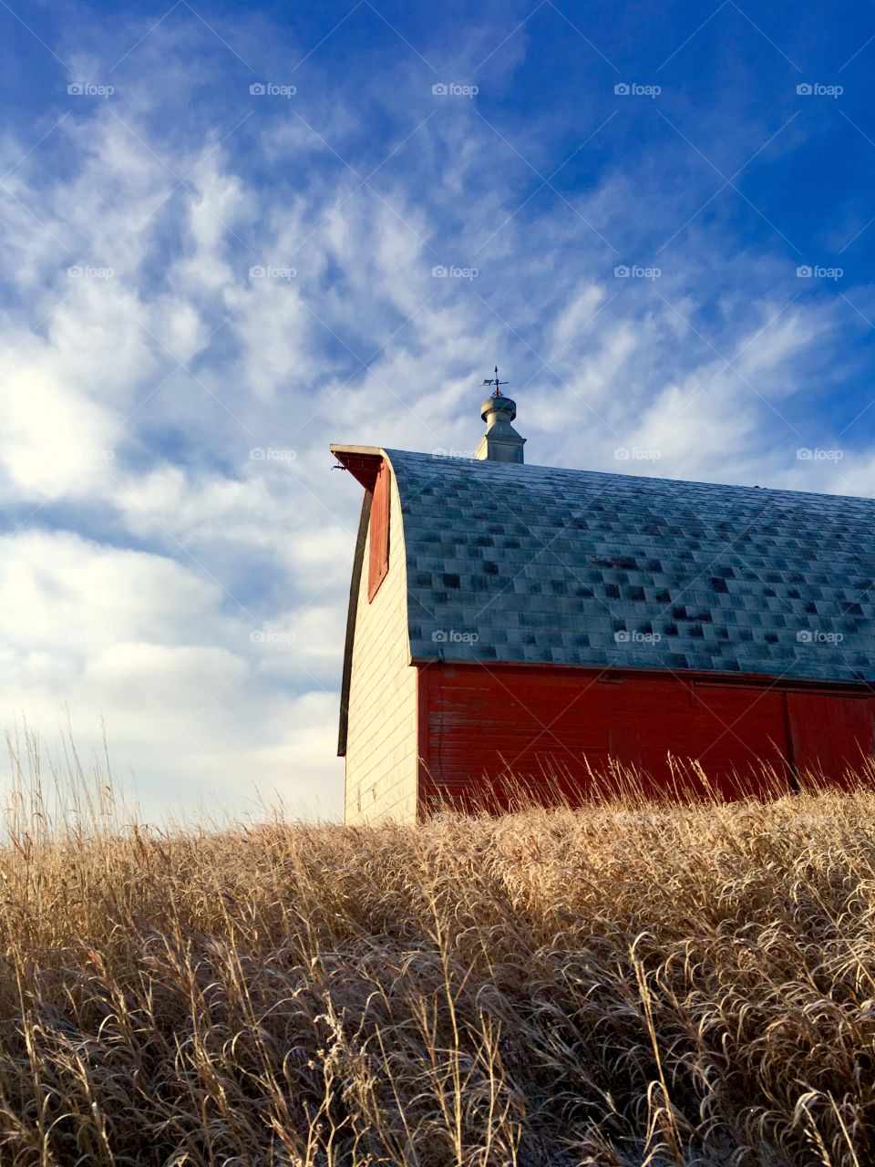 Rural Sask barn