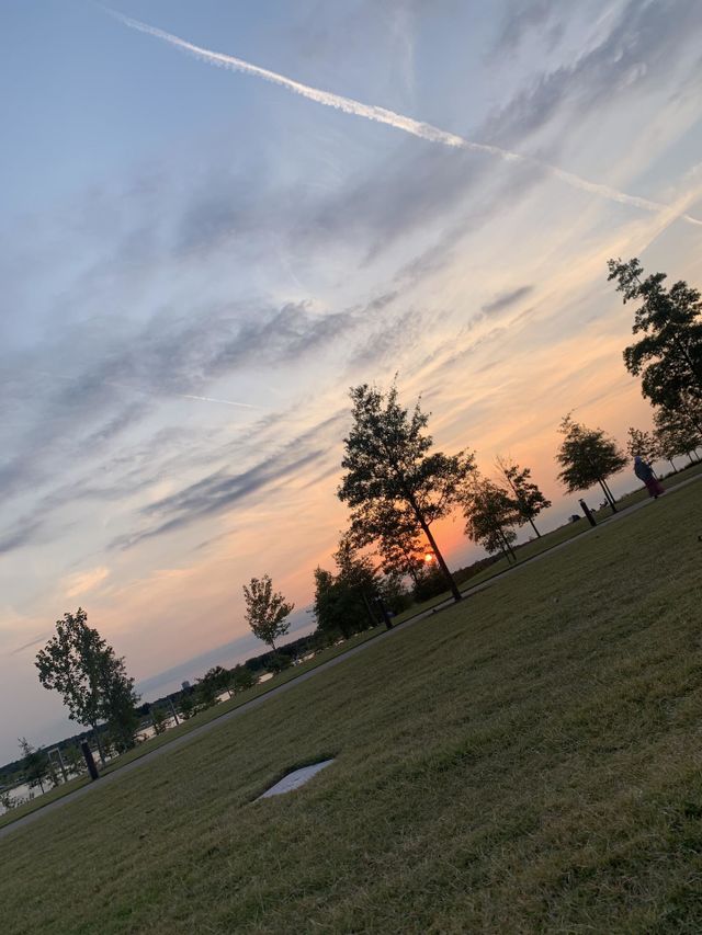 Atardecer en el shelby park