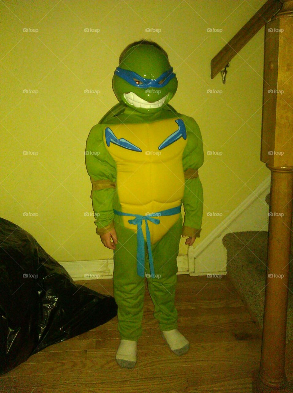 My little teenage Mutant  Ninja Turtle