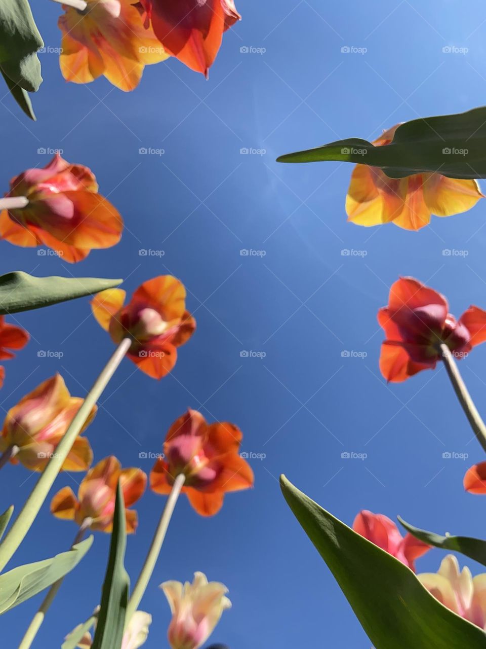 Different perspective… same beauty!!!