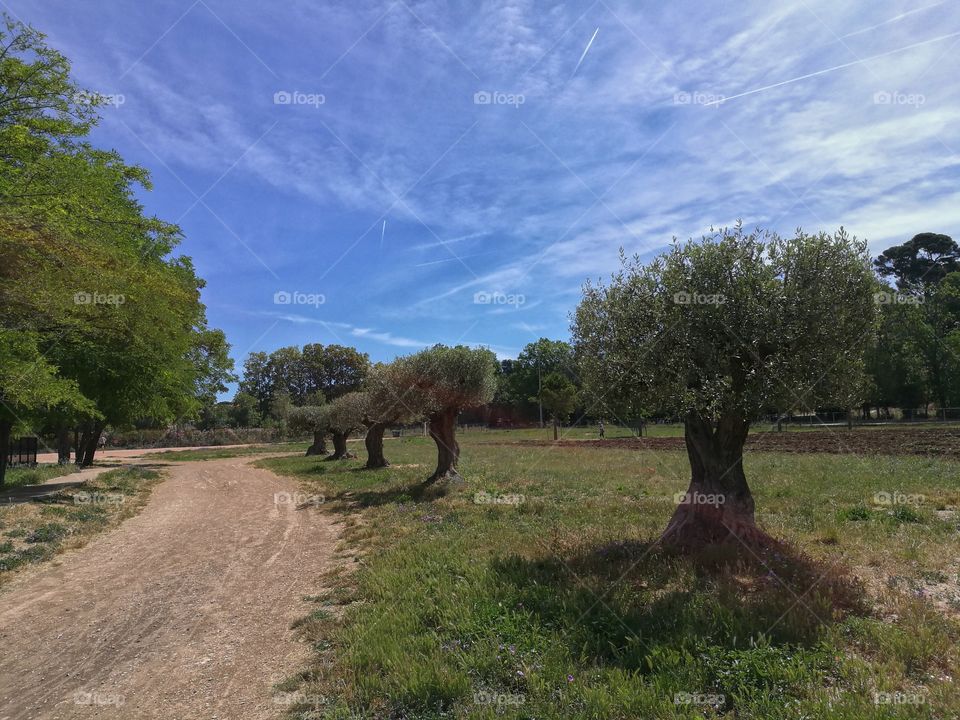 hiking Trail