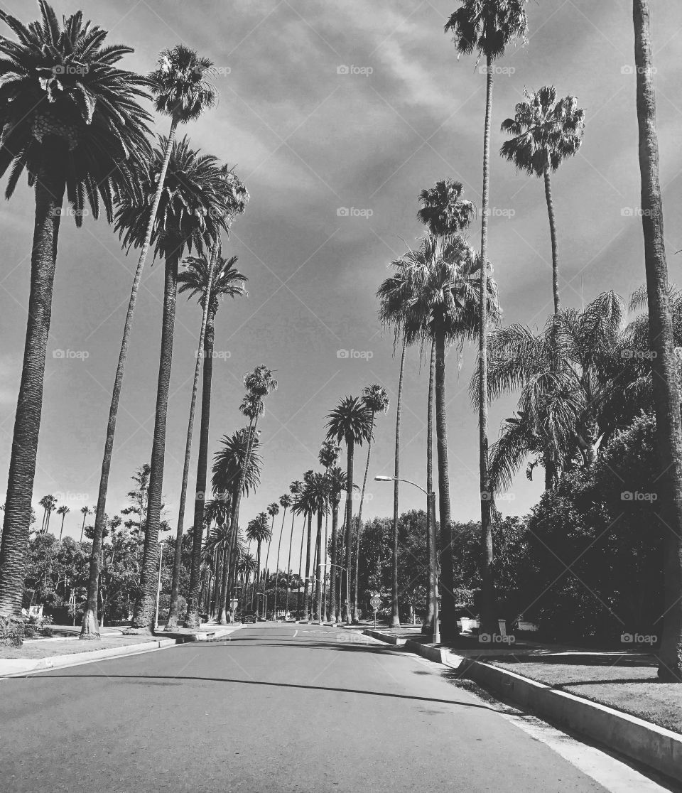 Beverly Hills