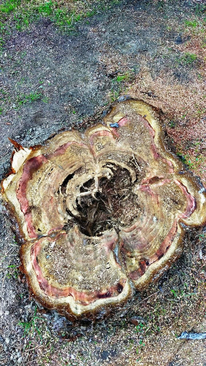 Nature, No Person, Desktop, Texture, Closeup