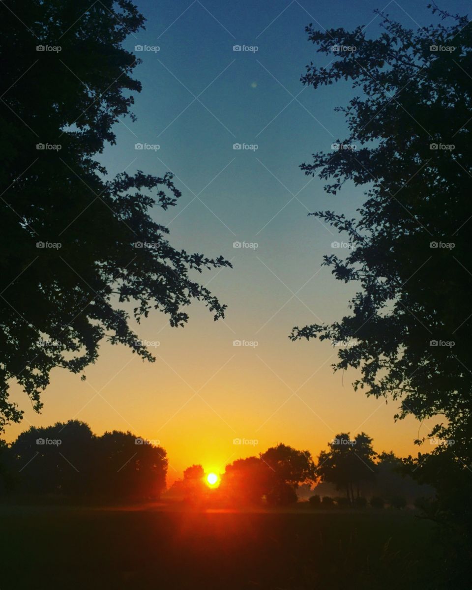 Rural sunrise silhouettes of trees