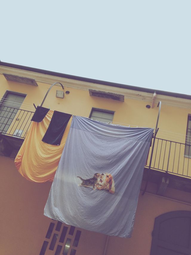 Home