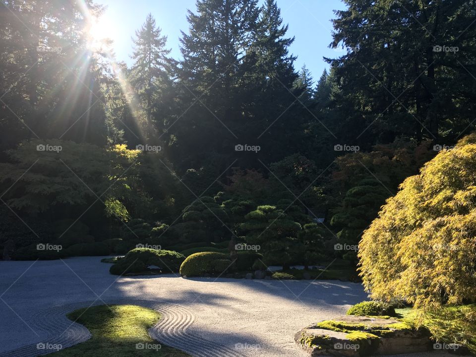 Zen garden, Portland, OR