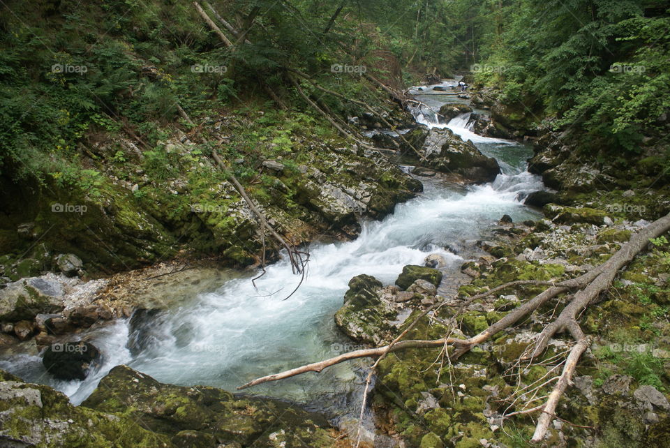 A waterflow in Slovenia.