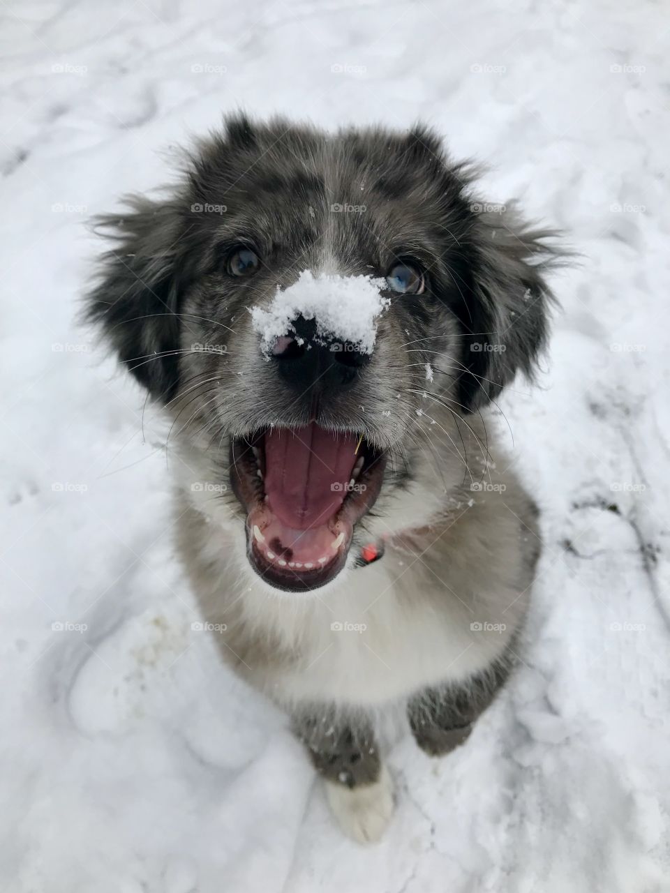Aussie loving the snow
