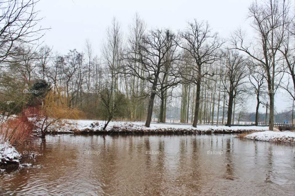 snow winter nature trees by twilite