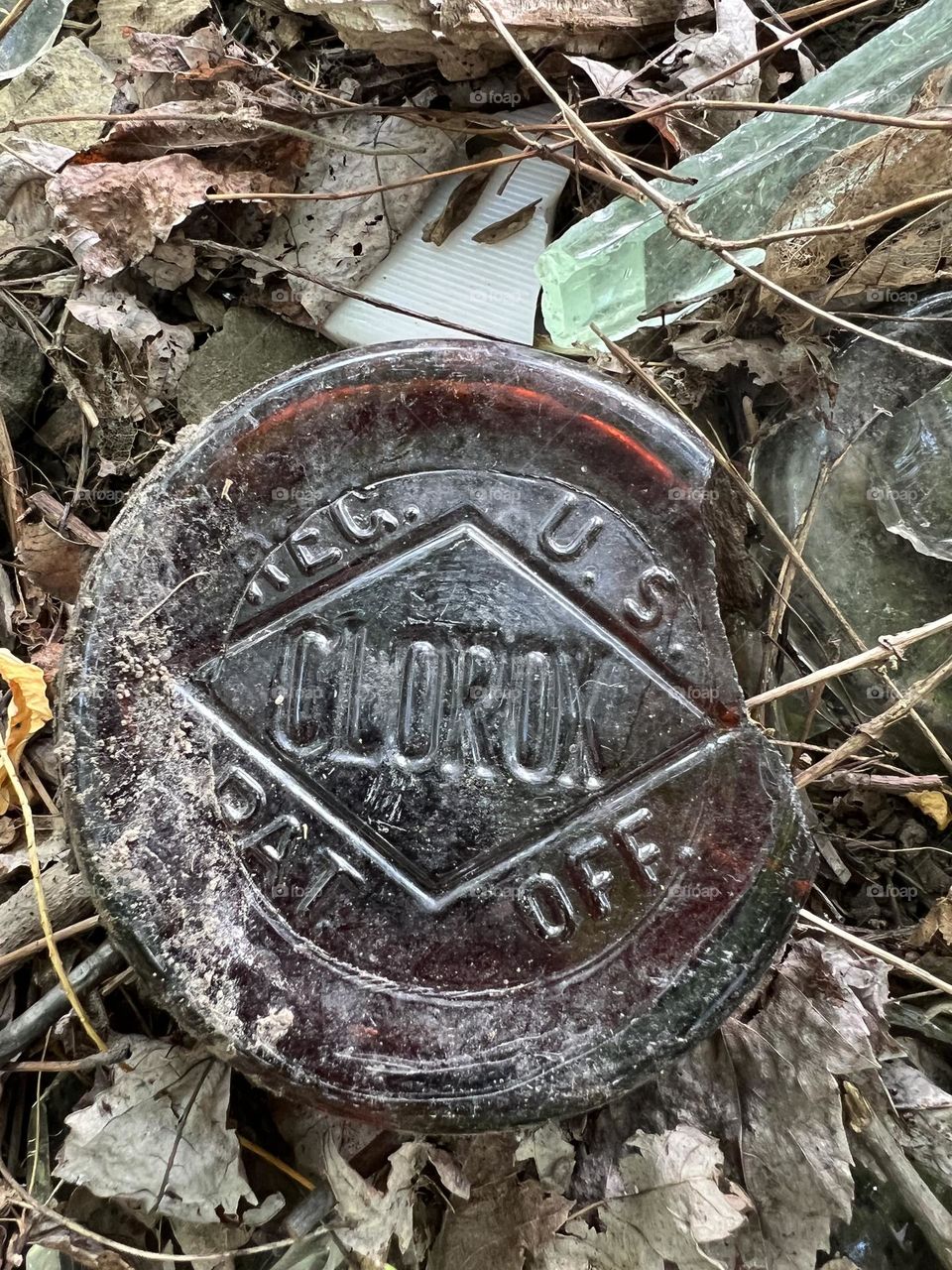 Clorox bleach bottle 