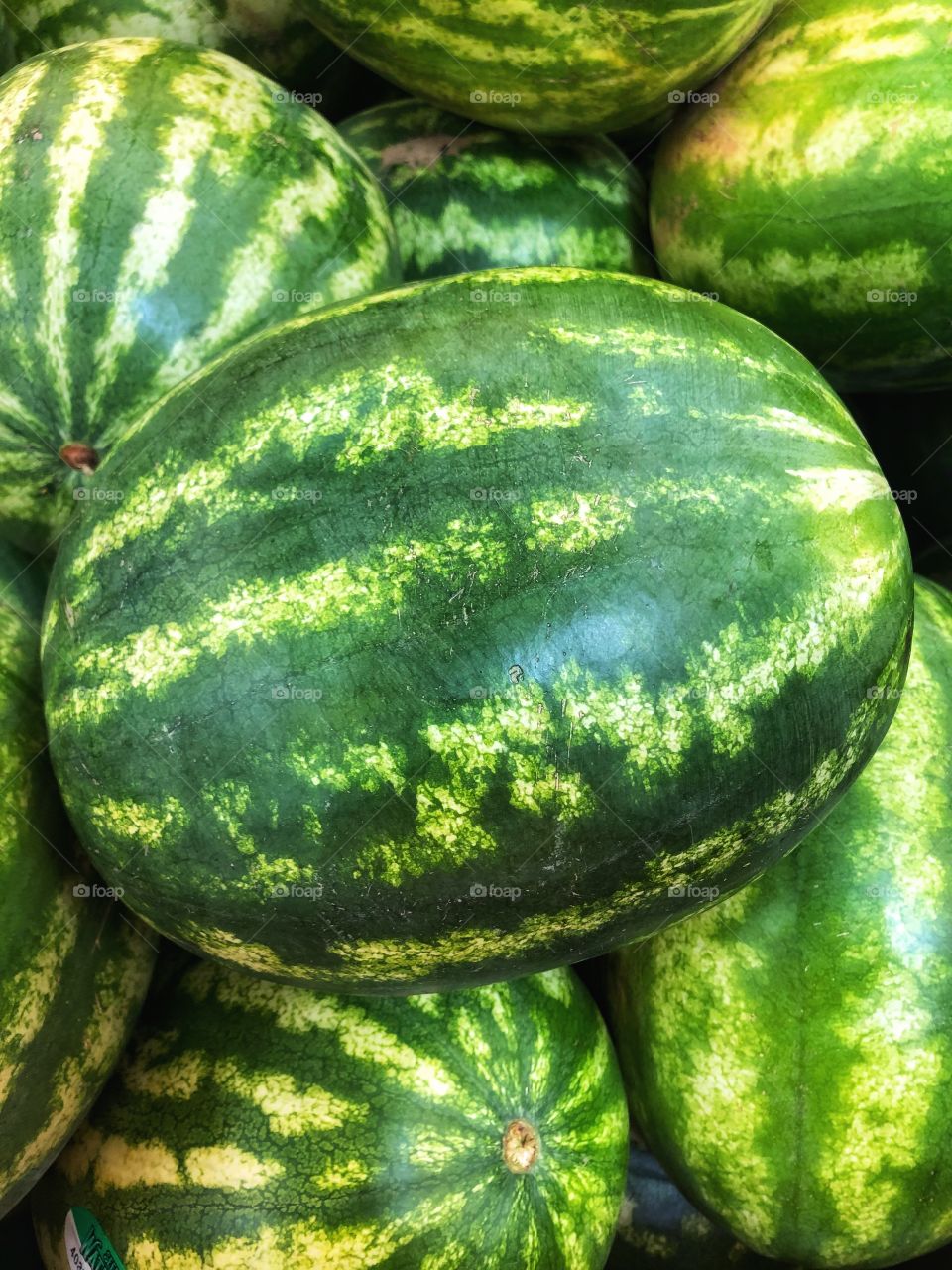 Watermelons 