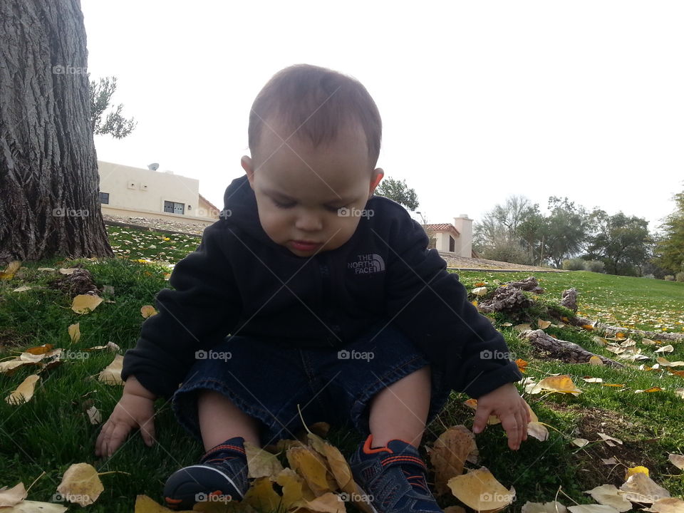 Baby boy discovering nature.