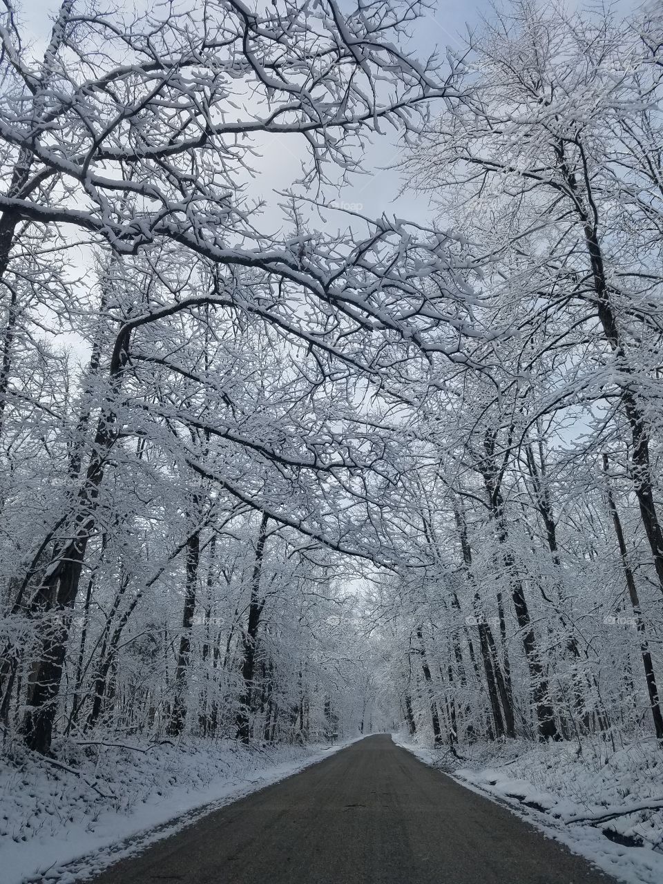 First day of Spring in Indiana