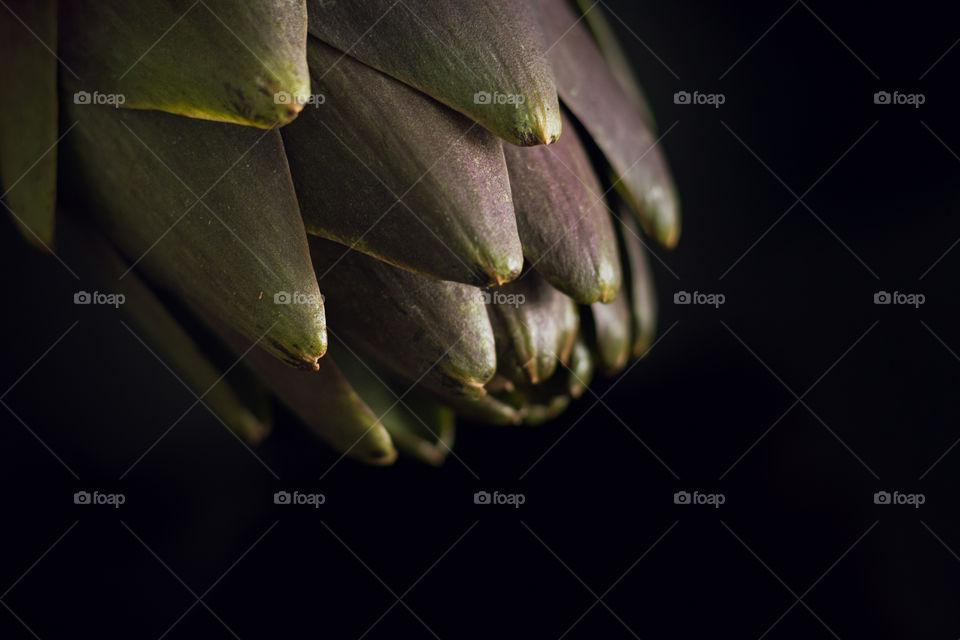 Artichoke as a form of art created by nature 