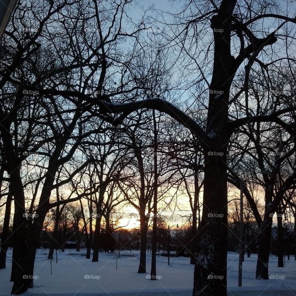 City Park Sunrise