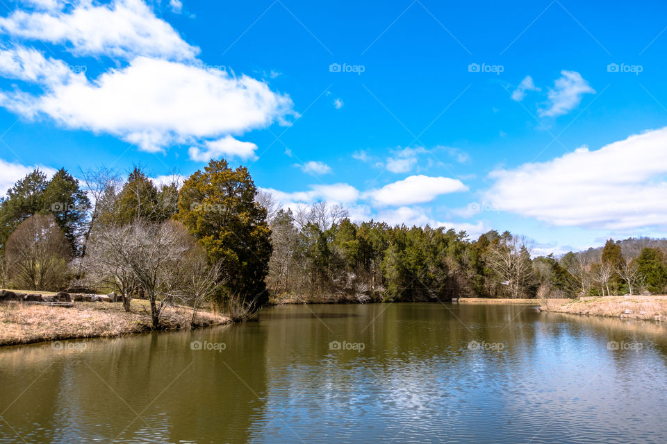 Lake with Blue Skies 
