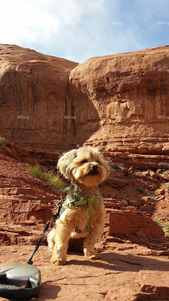 Rock Climber