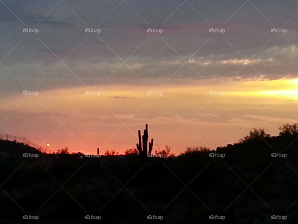 Saguara Sunset