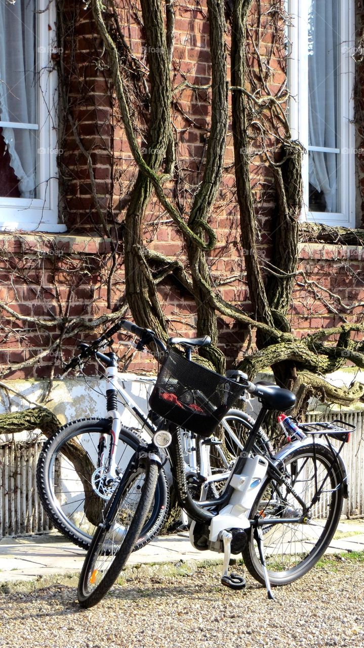 bikes in the country