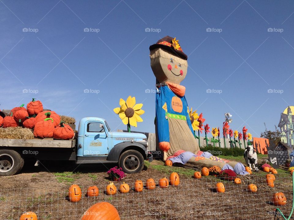 Pumpkin land