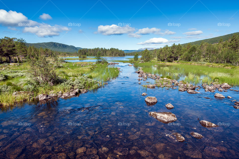 Wetlands in Stavanger region. Norway. Europe.