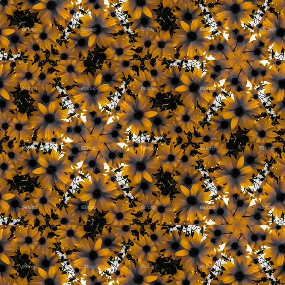 pattern