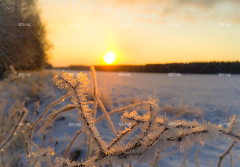 Winter