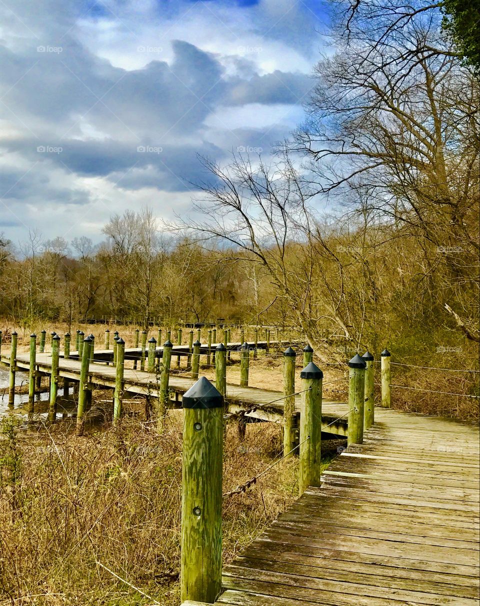 Wooden path