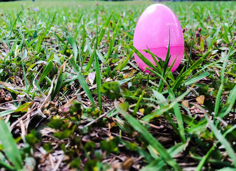 Pink easter egg 