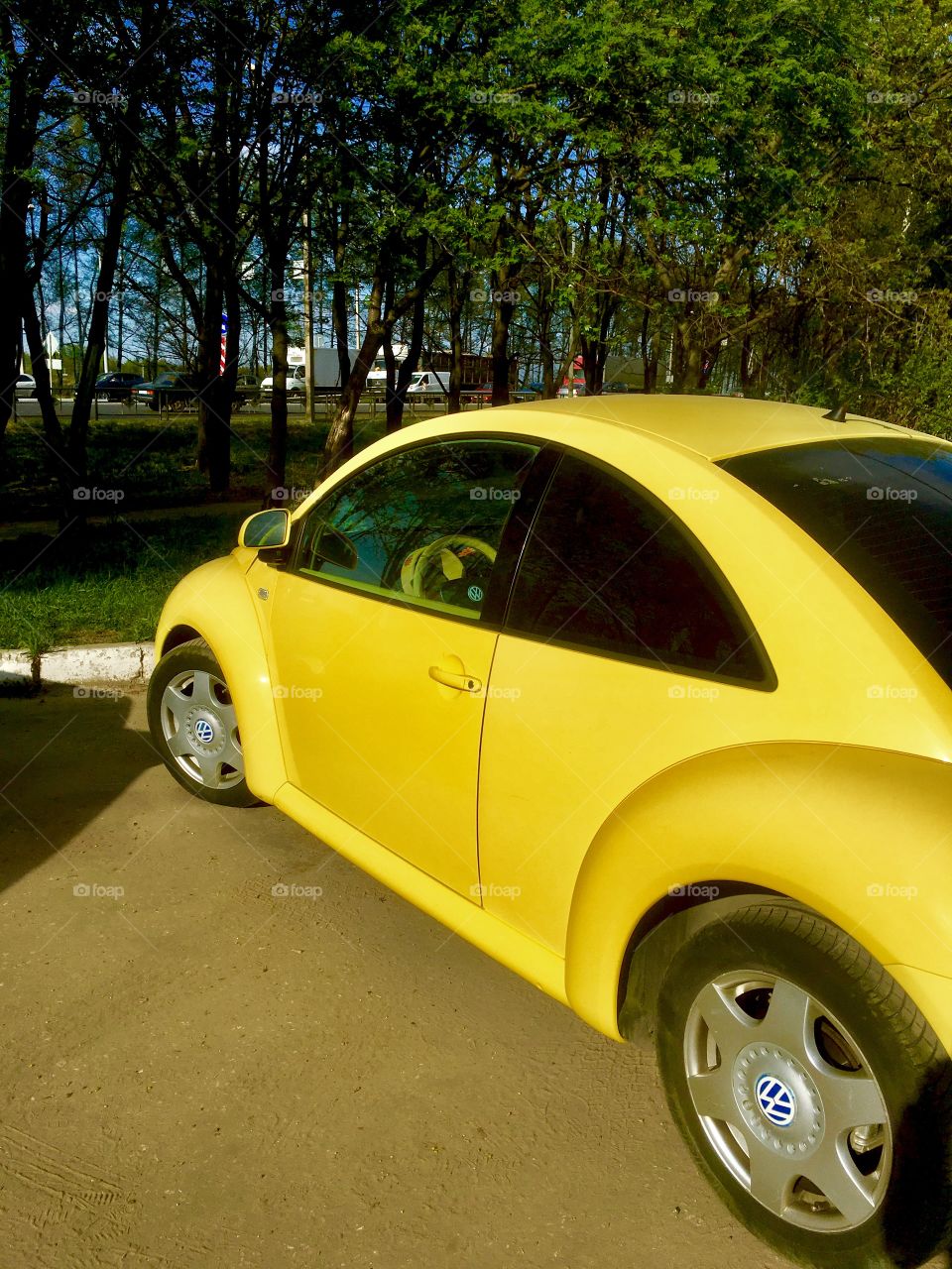 bright beetle
