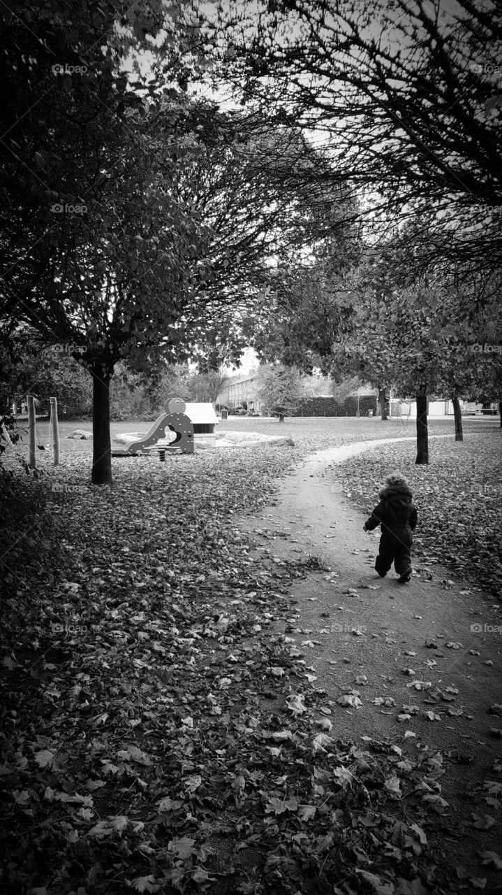 Rear view of child walking along with leaves fallen on road