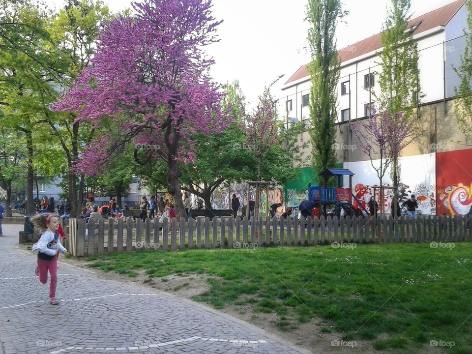 spring. in the park