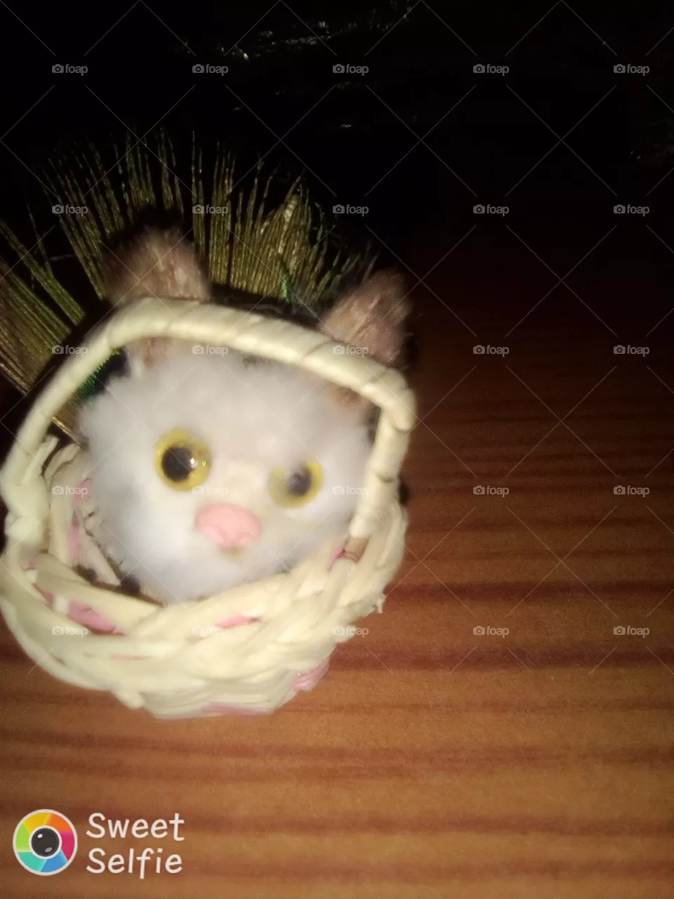caty