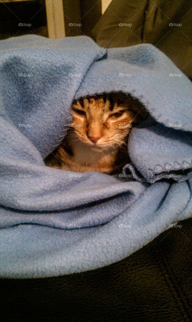 wrapped in blanket