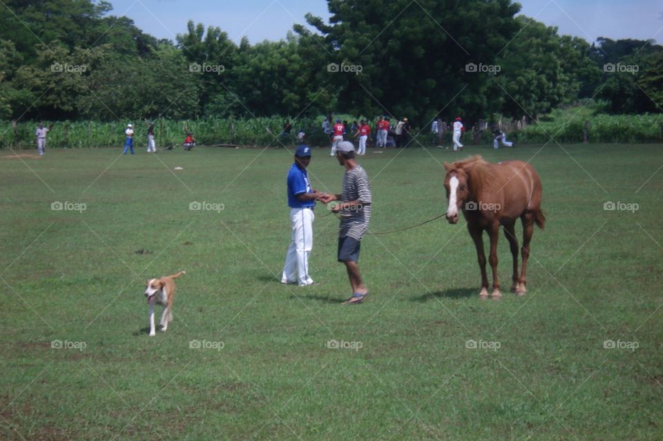 Baseball in a pasture in Nicaragua. 