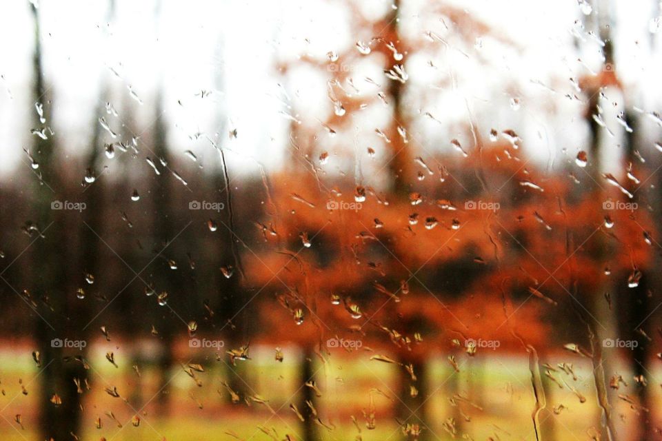 Looking through a window while raining at autumn trees and leaves