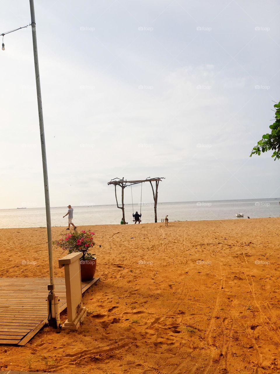 The brown sandy beach and its surroundings