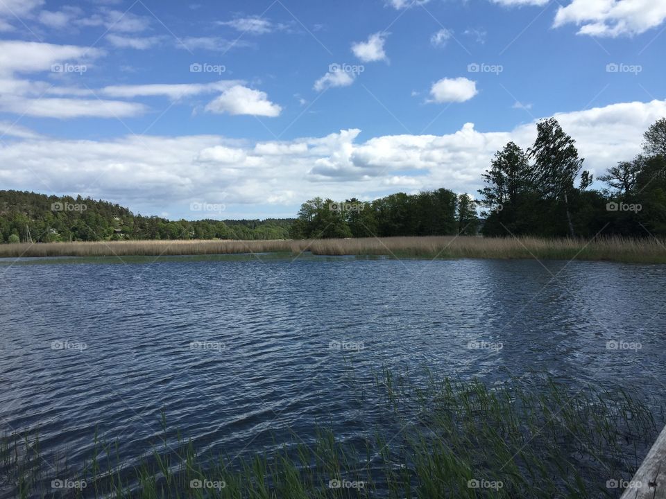 Lake in Sweden